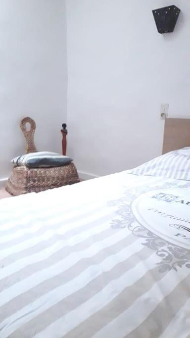 Bel Appartement Au Coeur De La Cite Medievale Сомм'єр-дю-Клен Екстер'єр фото